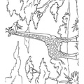Realistic_Giraffe_Coloring_Pages_019.jpg
