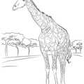 Realistic_Giraffe_Coloring_Pages_032.jpg