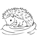 Hedgehog_Coloring_Pages_004.jpg