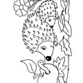 Hedgehog_Coloring_Pages_014.jpg