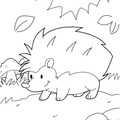 Hedgehog_Coloring_Pages_022.jpg