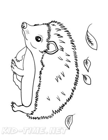 Hedgehog_Coloring_Pages_062.jpg