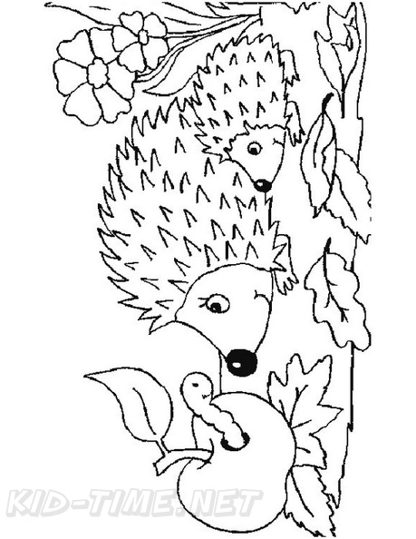 Hedgehog_Coloring_Pages_064.jpg