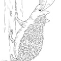 Hedgehog_Coloring_Pages_070.jpg
