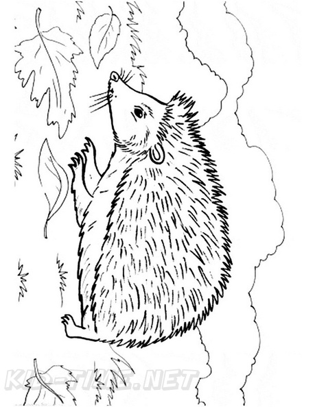 Hedgehog_Coloring_Pages_073.jpg