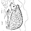 Hedgehog_Coloring_Pages_073.jpg