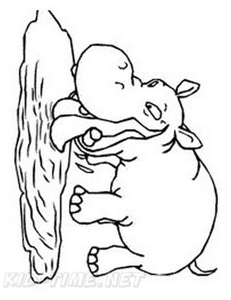 Hippo_Coloring_Pages_138.jpg