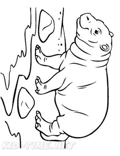 Hippo_Coloring_Pages_019.jpg