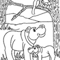 Hippo_Coloring_Pages_076.jpg