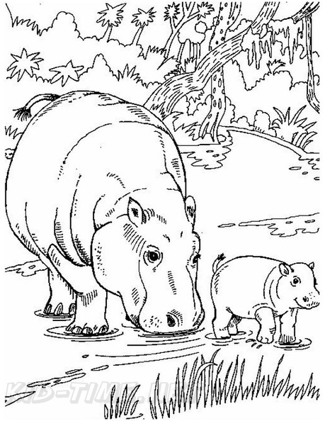 Hippo_Coloring_Pages_090.jpg