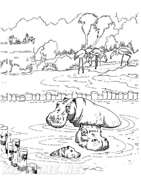 Hippo_Coloring_Pages_087.jpg
