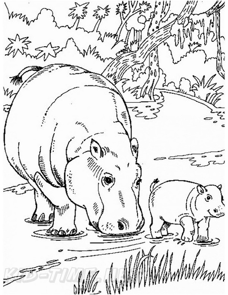 Hippo_Coloring_Pages_098.jpg