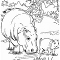 Hippo_Coloring_Pages_098.jpg