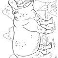 Hippo_Coloring_Pages_114.jpg