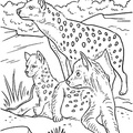 Hyena_Coloring_Pages_004.jpg