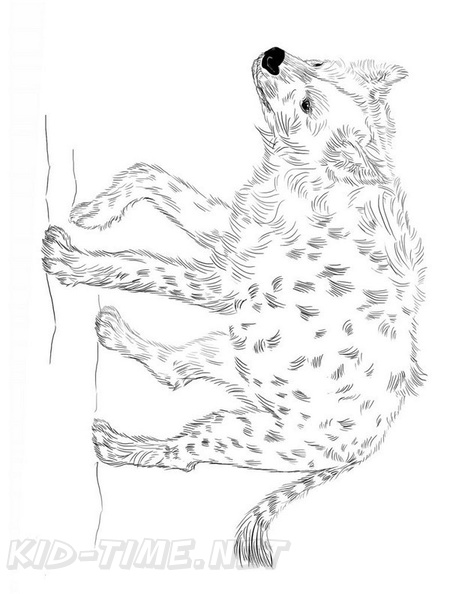 Hyena_Coloring_Pages_018.jpg