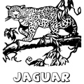 Jaguar_Coloring_Pages_007.jpg