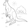 Baby_Kangaroo_Coloring_Pages_001.jpg