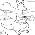 Baby_Kangaroo_Coloring_Pages_013.jpg