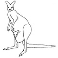 Kangaroo_Coloring_Pages_089.jpg