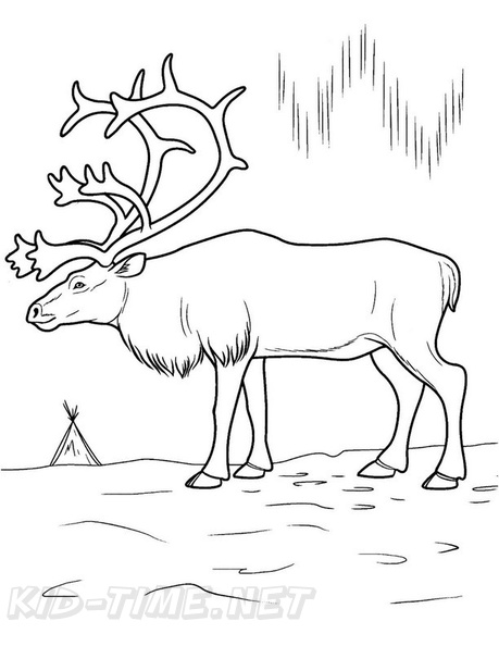Moose Coloring Book Pages Coloring Book Page | Free Coloring Book Pages