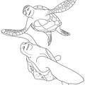 A Turtle's Tale Coloring Book Pages