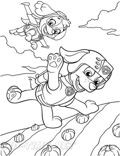 Coloring Pages Paw Patrol Zuma