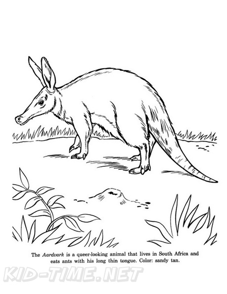 aardvark-coloring-pages-002.jpg