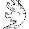 aardvark-coloring-pages-017.jpg