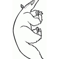 Aardvark Coloring Book Page