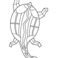 Aboriginal Animal Turtle Drawings Coloring Book Page
