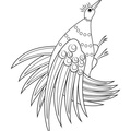 Aboriginal Animal Bird Drawings Coloring Book Page