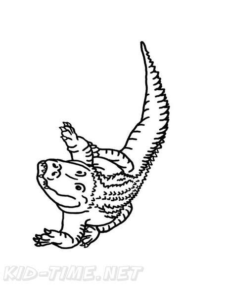 alligator-coloring-pages-024.jpg