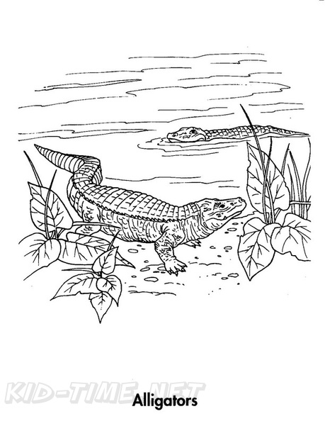 alligator-coloring-pages-053.jpg