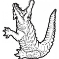 alligator-coloring-pages-085.jpg