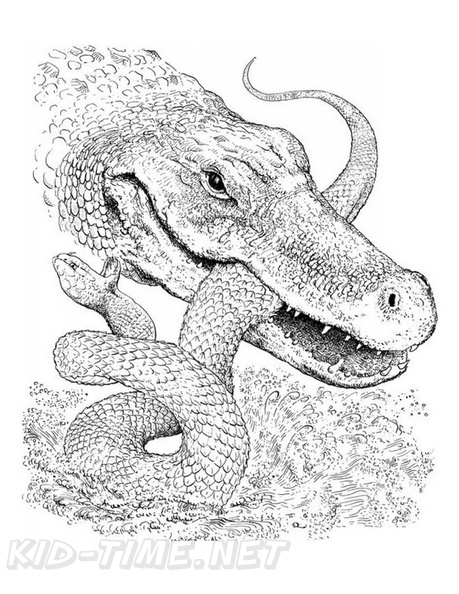 alligator-coloring-pages-090.jpg
