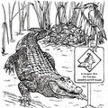 alligator-coloring-pages-099.jpg