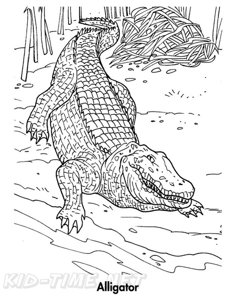alligator-coloring-pages-100.jpg