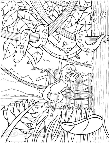 amazon-rainforest-animals-coloring-pages-007.jpg