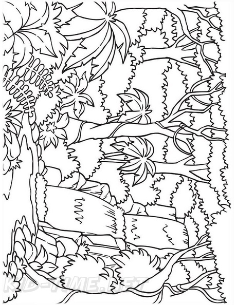 amazon-rainforest-animals-coloring-pages-008.jpg