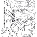 amazon-rainforest-animals-coloring-pages-010.jpg