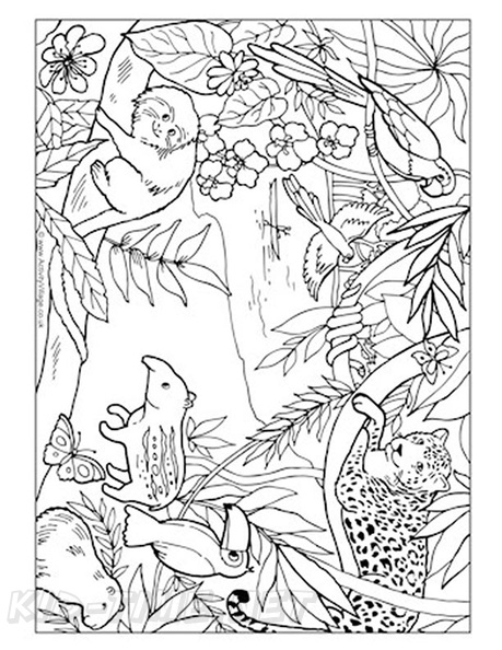 amazon-rainforest-animals-coloring-pages-015.jpg