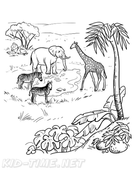 amazon-rainforest-animals-coloring-pages-019.jpg