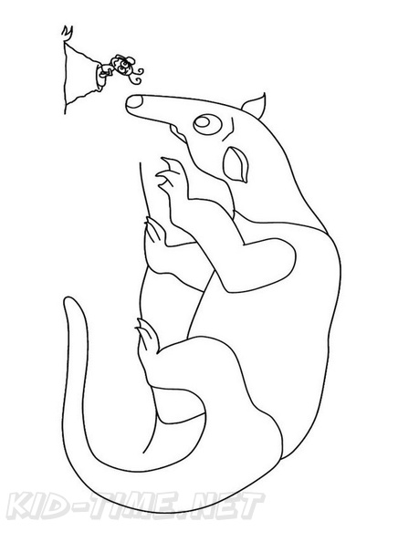 anteater-coloring-pages-005.jpg