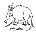 anteater-coloring-pages-016.jpg