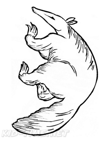 anteater-coloring-pages-029.jpg