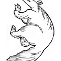 anteater-coloring-pages-029.jpg