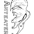 Anteater Coloring Book Page