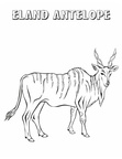 Antelope Coloring Book Page
