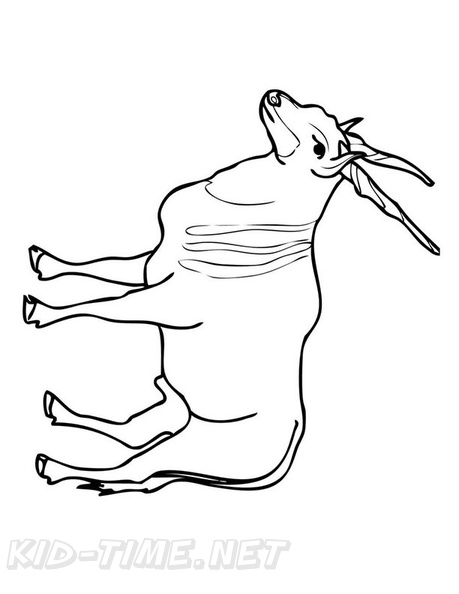 antelope-coloring-pages-014.jpg